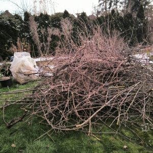 Gartenentrümpelung & Gartenumzüge – Professionelle Gartenpflege für mehr Ordnung und frische Gestaltung