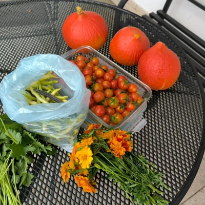 Yorikaner – Nachhaltige Gartenpflege mit Leidenschaft und Expertise Yorikaner – Ihr Partner für nachhaltige Gartenpflege und kreative, umweltfreundliche Lösungen.