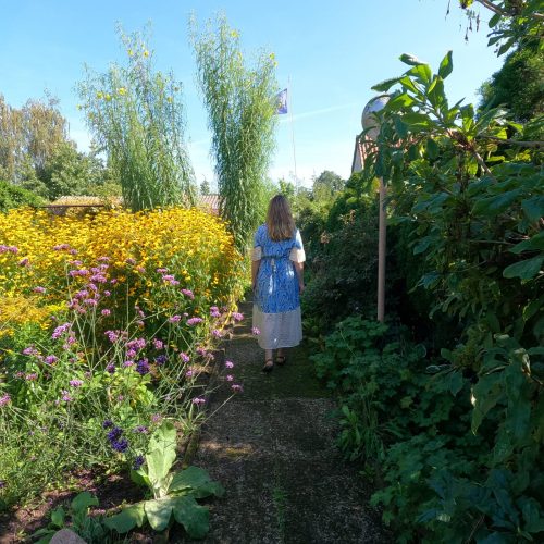 Entdecken Sie unsere Galerie mit Bildern von Gartenpflege, Bepflanzung und Permakulturprojekten. Inspirierende Einblicke in die grüne Vielfalt, die wir für unsere Kunden schaffen.