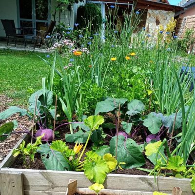 Für Beetdesign und Planung – Kreative und nachhaltige Gestaltung Ihrer Gartenbeete Kreatives Beetdesign und Planung – Für ästhetische und nachhaltige Gartenbeete