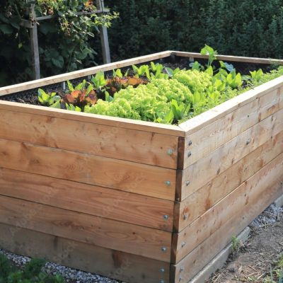 Für Beetdesign und Planung – Kreative und nachhaltige Gestaltung Ihrer Gartenbeete Kreatives Beetdesign und Planung – Für ästhetische und nachhaltige Gartenbeete
