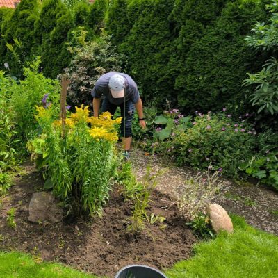 Bepflanzung und Pflanzenpflege – Für ein gesundes und blühendes Gartenparadies Bepflanzung & Pflanzenpflege – Für gesunde Pflanzen und ein blühendes Gartenparadies