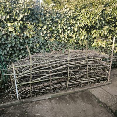 Benjeshecke aus Totholz Hier entsteht eine Benjeshecke: lose geschichtetes Totholz schafft Struktur im Garten, bietet Unterschlupf für Kleintiere, fördert die Artenvielfalt und zersetzt sich langsam zu wertvollem Humus. Eine einfache und natürliche Lösung mit großer Wirkung.