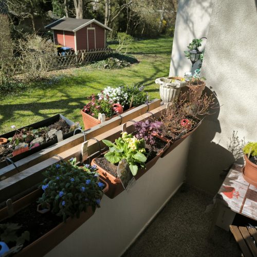 Naturgarten – BalkongestaltungEin liebevoll gestalteter Balkon mit vielfältigen, bienenfreundlichen Pflanzen in recycelten Töpfen. Wilde Kräuter, essbare Blüten und rankende Kletterpflanzen schaffen eine kleine grüne Oase mitten in der Stadt – naturnah, pflegeleicht und nachhaltig.