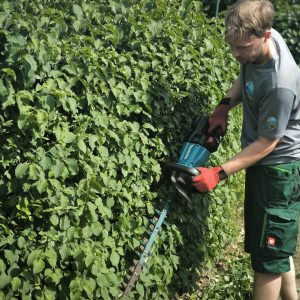 Heckenschnitt in einem permakulturellen Garten – Nachhaltige Pflege für gesunde Pflanzen.Professionelle GartenpflegePermakulturRegenerative LandwirtschaftNachhaltige GartenpflegeHeckenschnittBiodiversität im GartenÖkologische GartenarbeitNaturnahe Gartenpflege