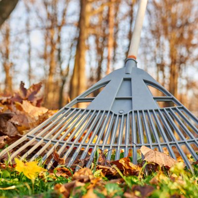 Laubaufnahme – Sauber und nachhaltig durch den Herbst Laubaufnahme – Für einen sauberen und gepflegten Garten im Herbst.